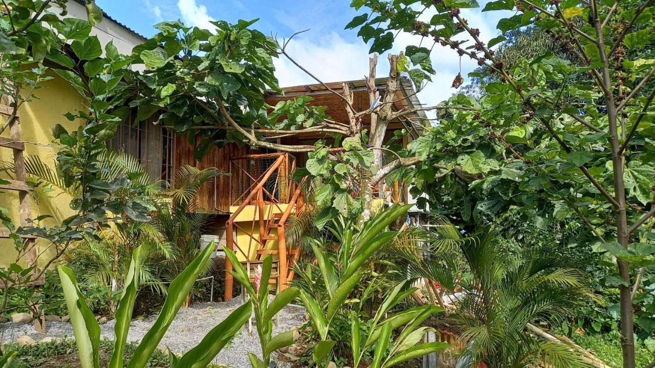Cacao Lodge And Tours La Fortuna Luaran gambar